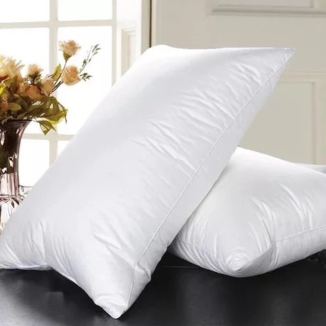 Combo 2 Ruột Gối Hilton nhập khẩu cao cấp
