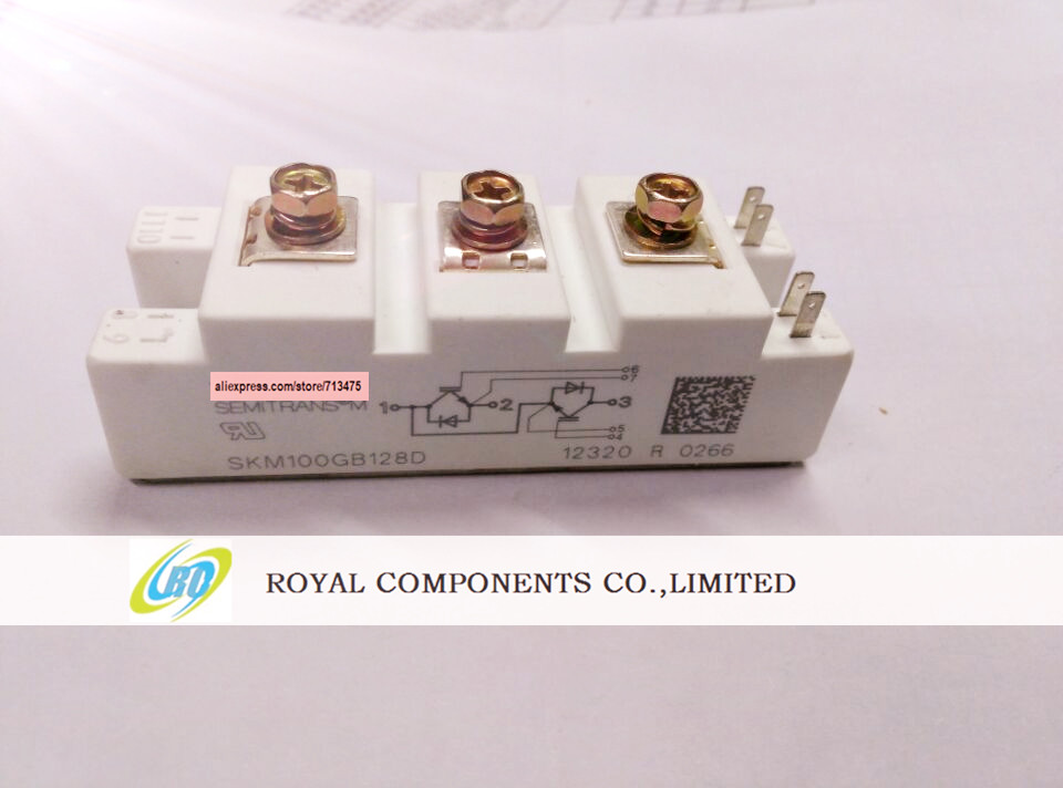 Skm100gb128d