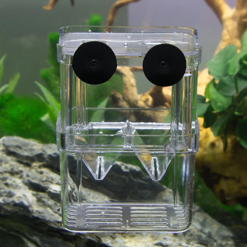 Double-Deck Clear Fish Breeding Isolation Box Aquarium Fish Tank ...