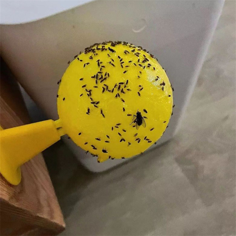 Sticky Traps Flying Insects Traps Ball Effective Fly Catcher Killer Fruit Fly Killer For Plants Catching Fruit Insects.