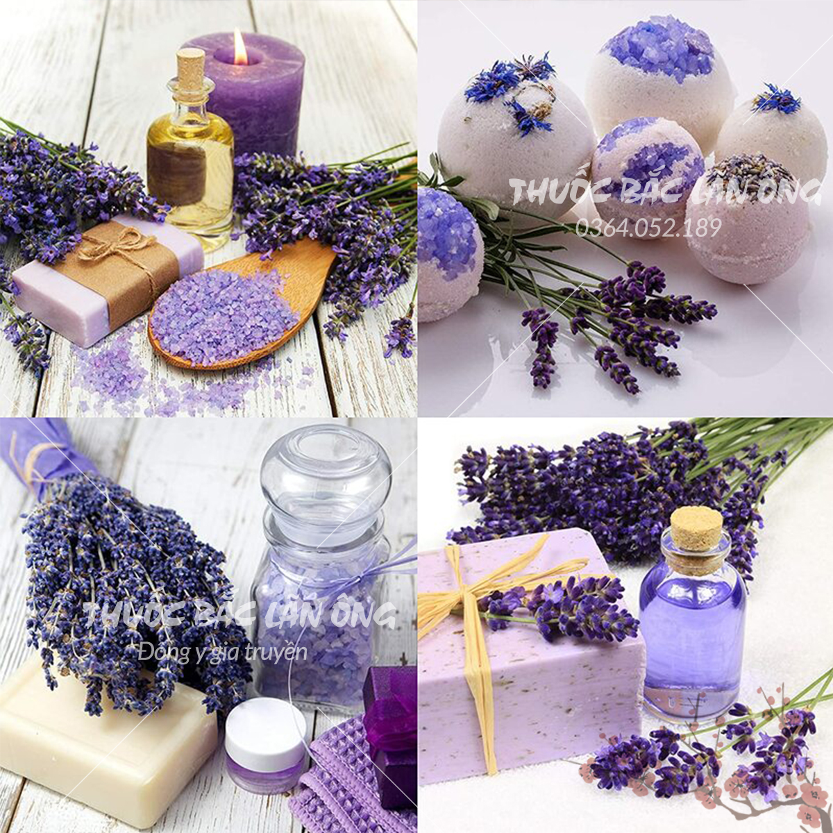 Nụ hoa oải hương 500g (Lavender khô, làm trà, tinh dầu, túi thơm)
