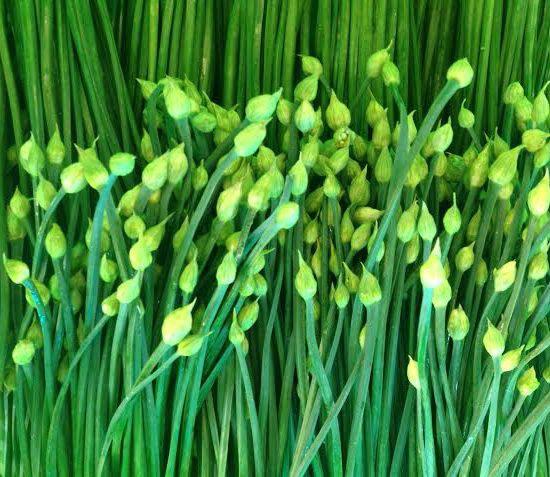 Hạt giống hẹ ăn bông - gói 1 gram