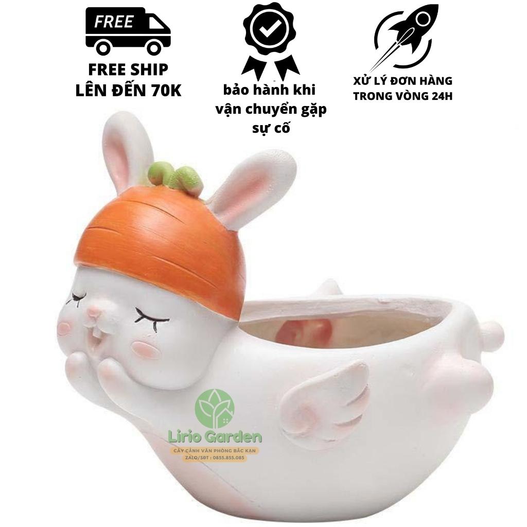 Chậu trồng cây hình thỏ trắng có cánh