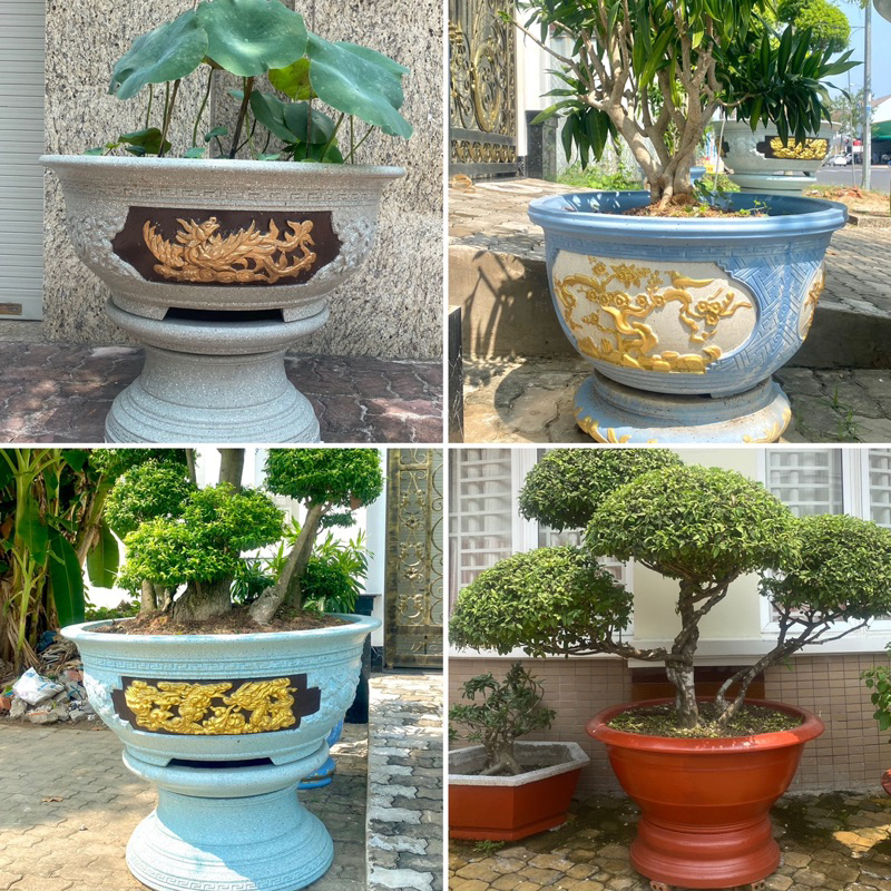 Sơn Chậu Kiểng Hệ Nước Dolphin Mẫu Thử 200Gr ( Nhanh Khô, Bền Màu, Láng Mịn, Đẹp )