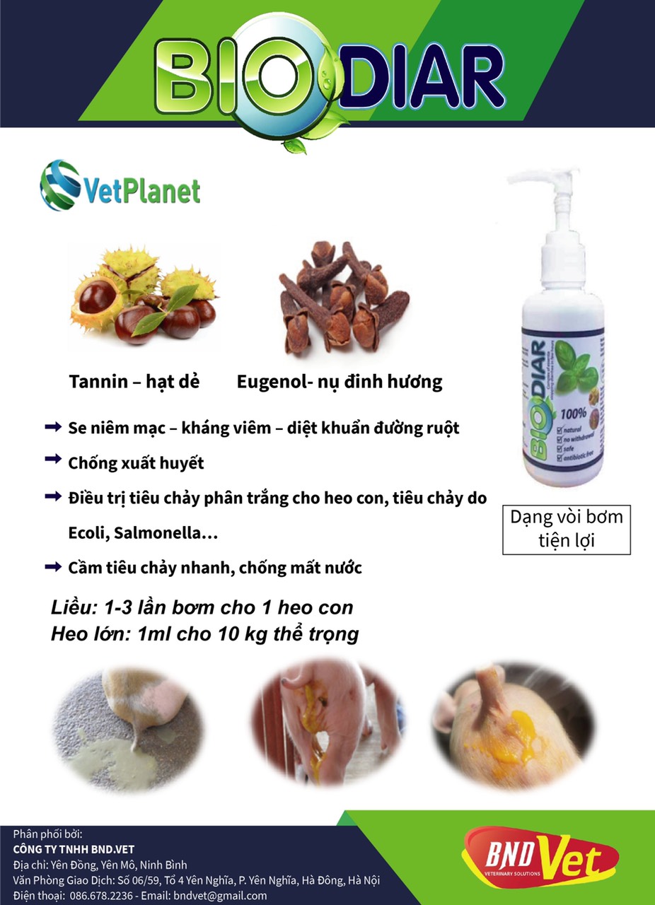 Thảo dược BIO DIAR DỪNG TIÊU CHẢY CẤP TỐC