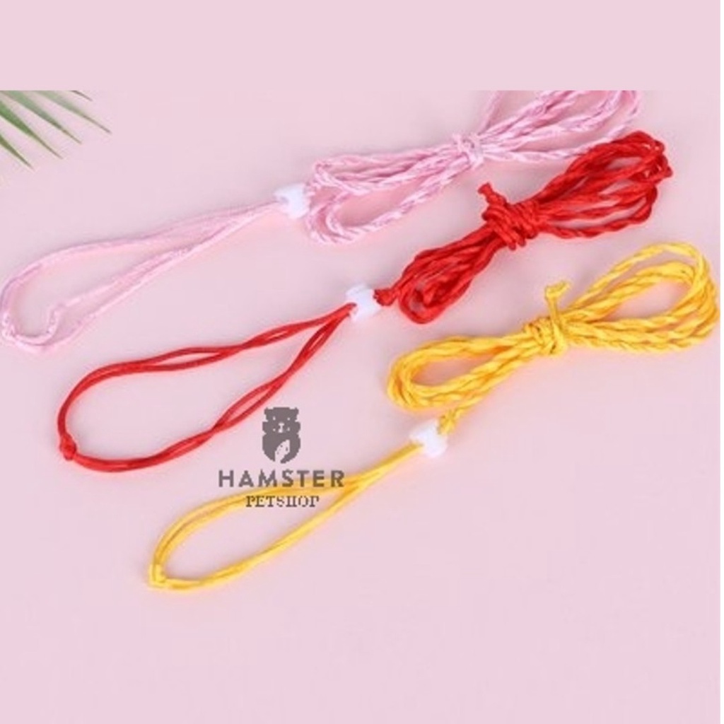 Dây dắt hamster, , Sóc , đuôi mập, chuột lang