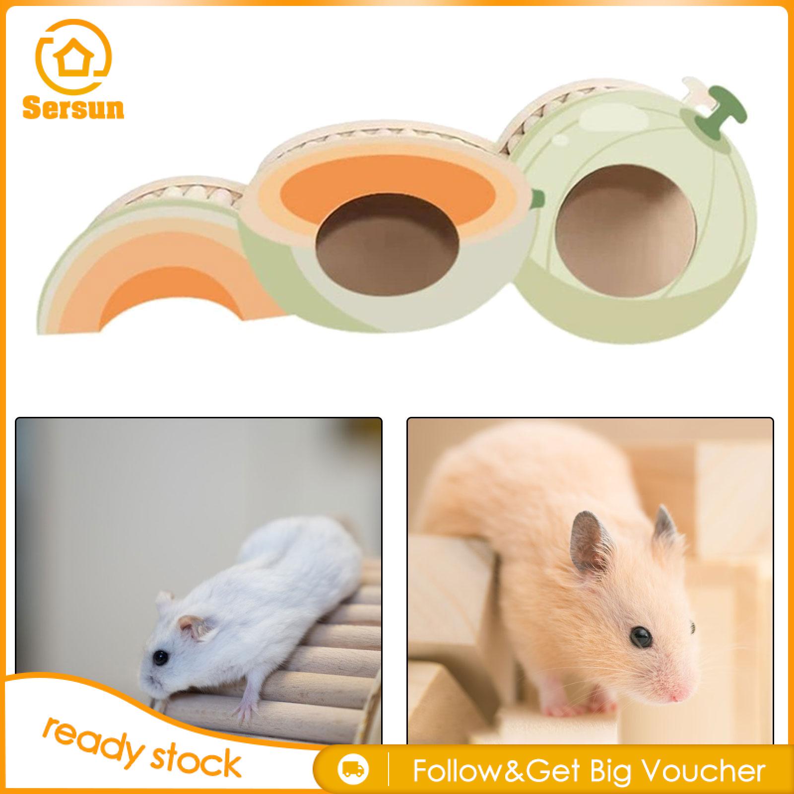 Sersun hamster NƠI ẨN NÁU hamster đường hầm với THANG LEO cho vật nuôi có