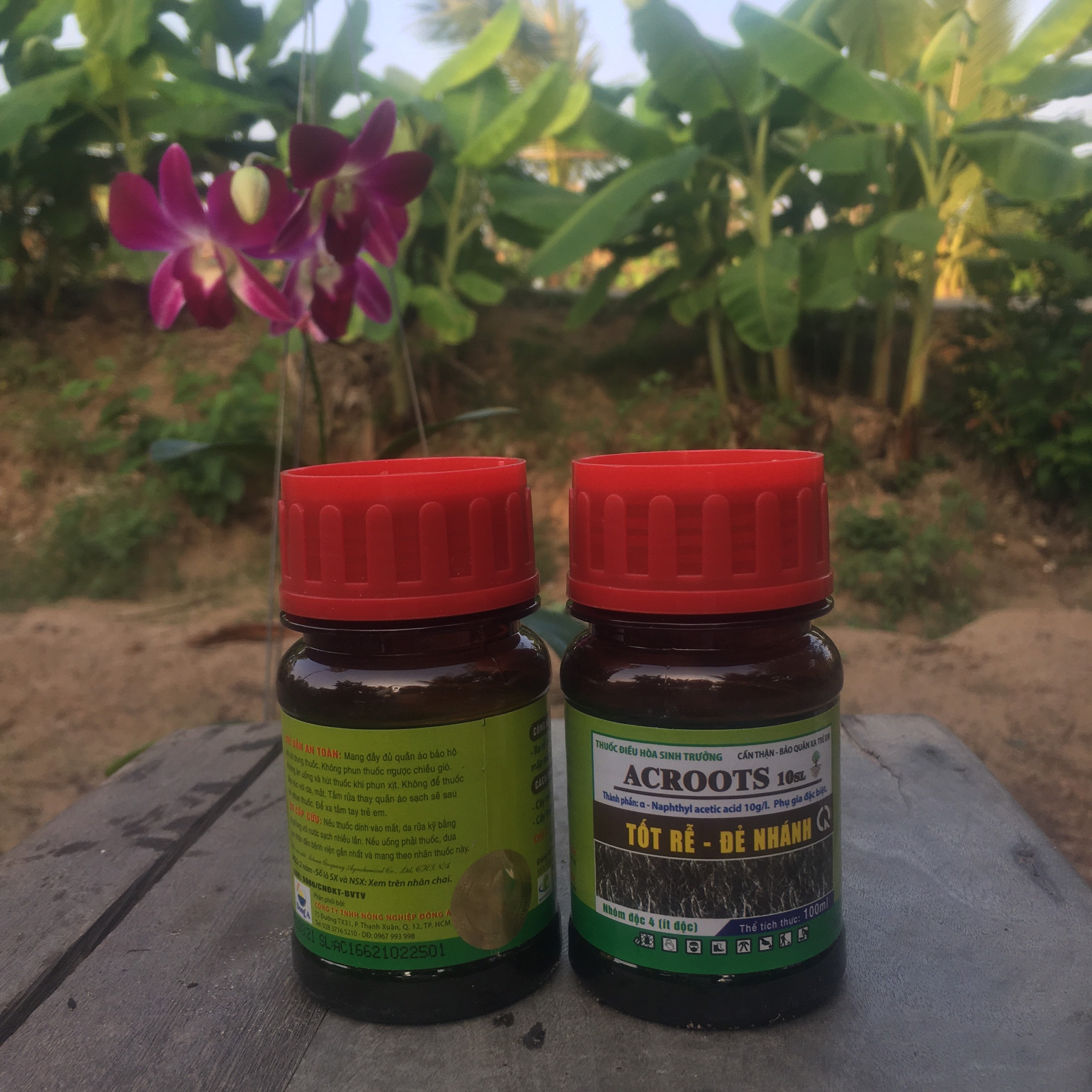 ACROOTS chai 100ml - Phân bón Tốt Rễ Đẻ Nhánh Acroots
