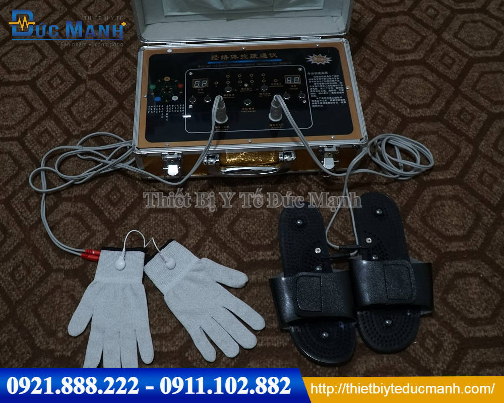 Máy điện sinh học dds