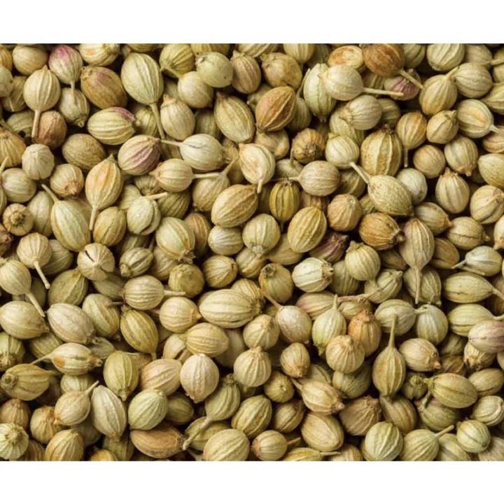 Hạt mùi, hạt ngò khô, ngò rí (nấu sâm, nấu phở)