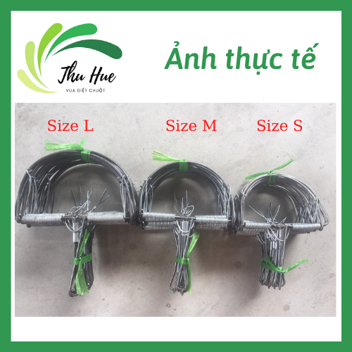 combo 5 chiếc bẫy chuột bán nguyễn cỡ vừa