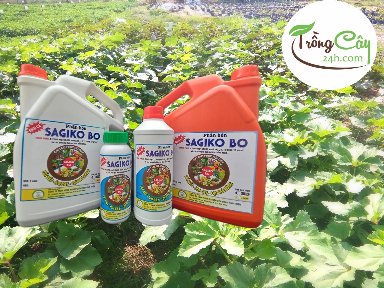 ĐẠM CÁ HỮU CƠ (DỊCH CÁ) SAGIKO BO 1L