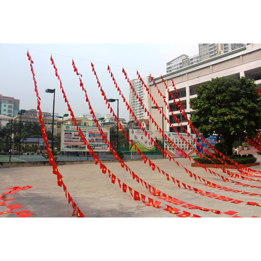 Cờ dây sao vàng-búa liềm