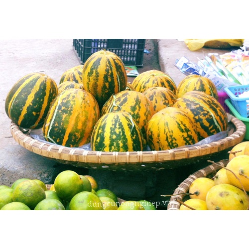 Hạt Giống Dưa Bở Siêu Thơm