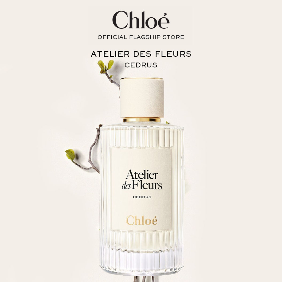 Chloé Atelier des Fleurs Cedrus Eau de Parfum for Women 150ml
