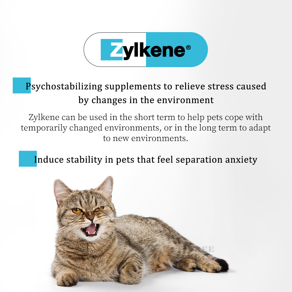 zylkene for cats pets at home