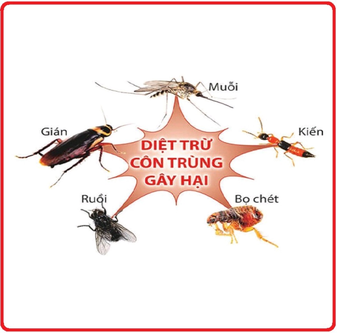 Bình xịt côn trùng King STar chai 600ml