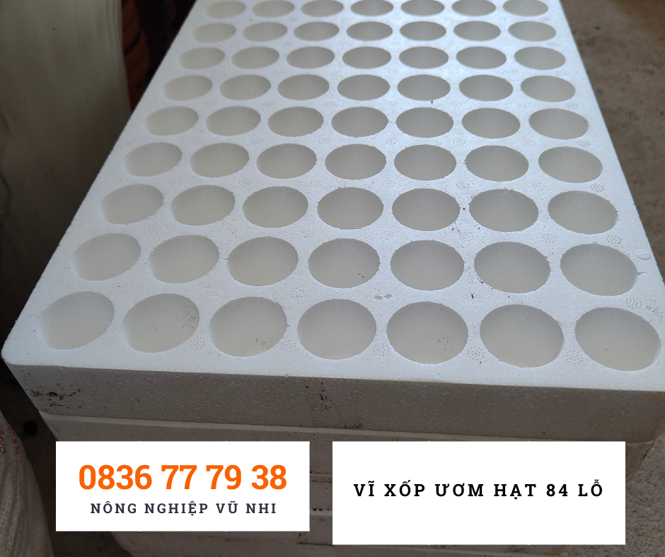 Vĩ xốp ươm hạt 84  ( khay xốp ươm cây)- hatgiong24h