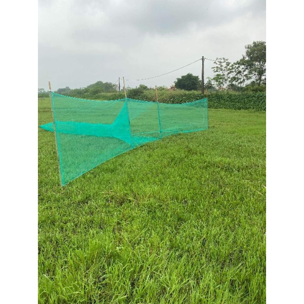 Dớn Bắt Cá, Ốc, Lươn