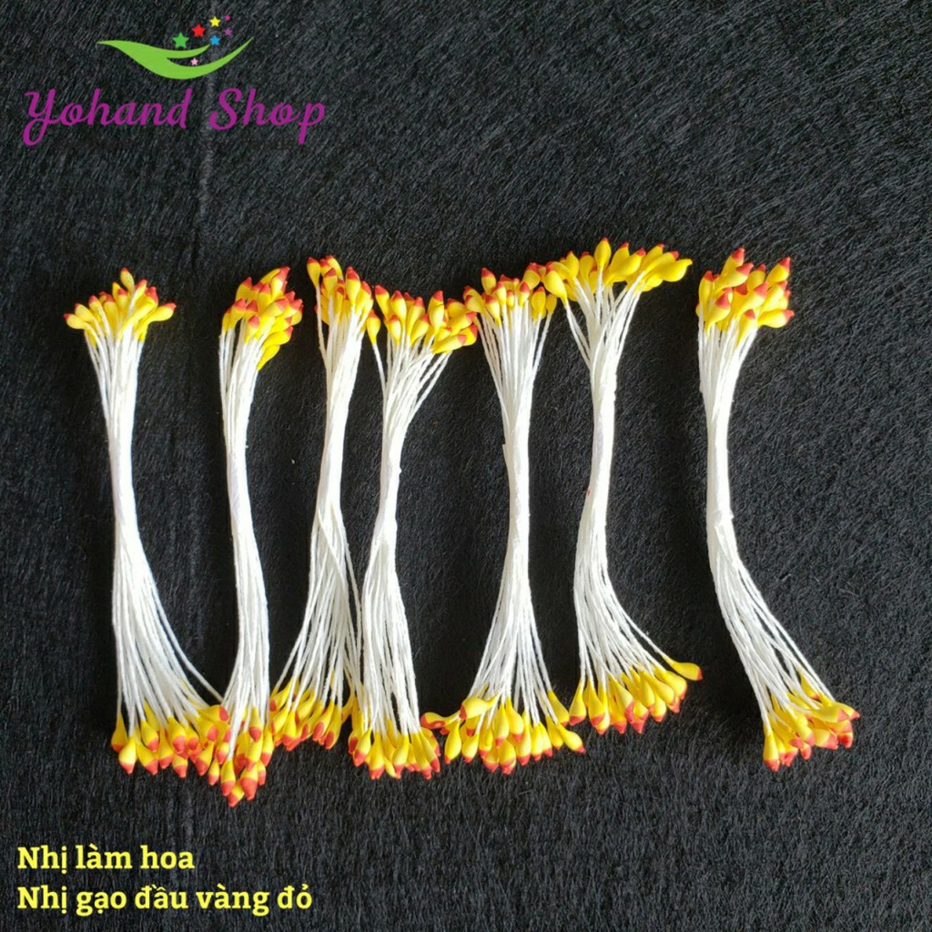 Nhị làm hoa vải voan - nhị gạo