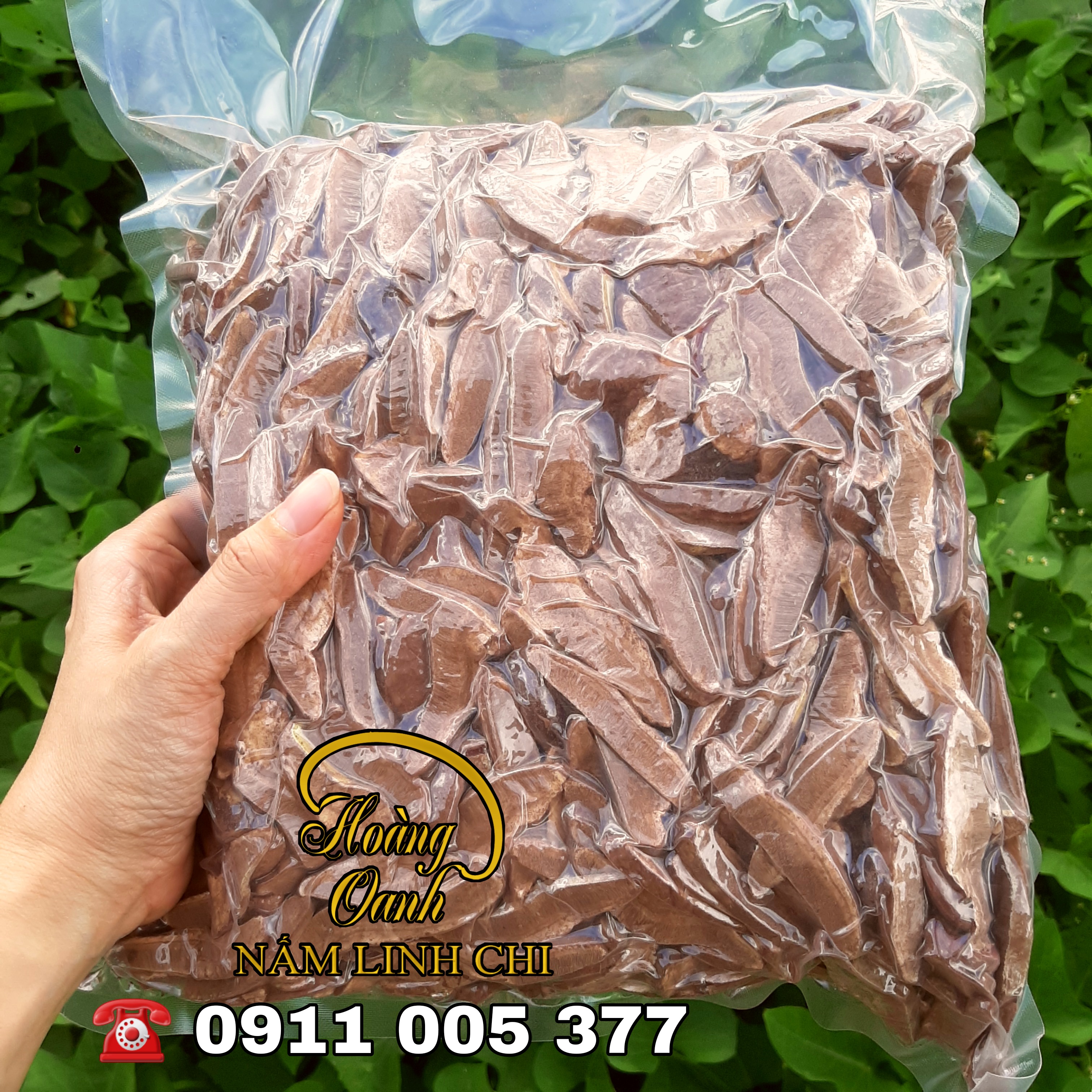 1kg Nấm Linh Chi - Hồng Chi Đà Lạt