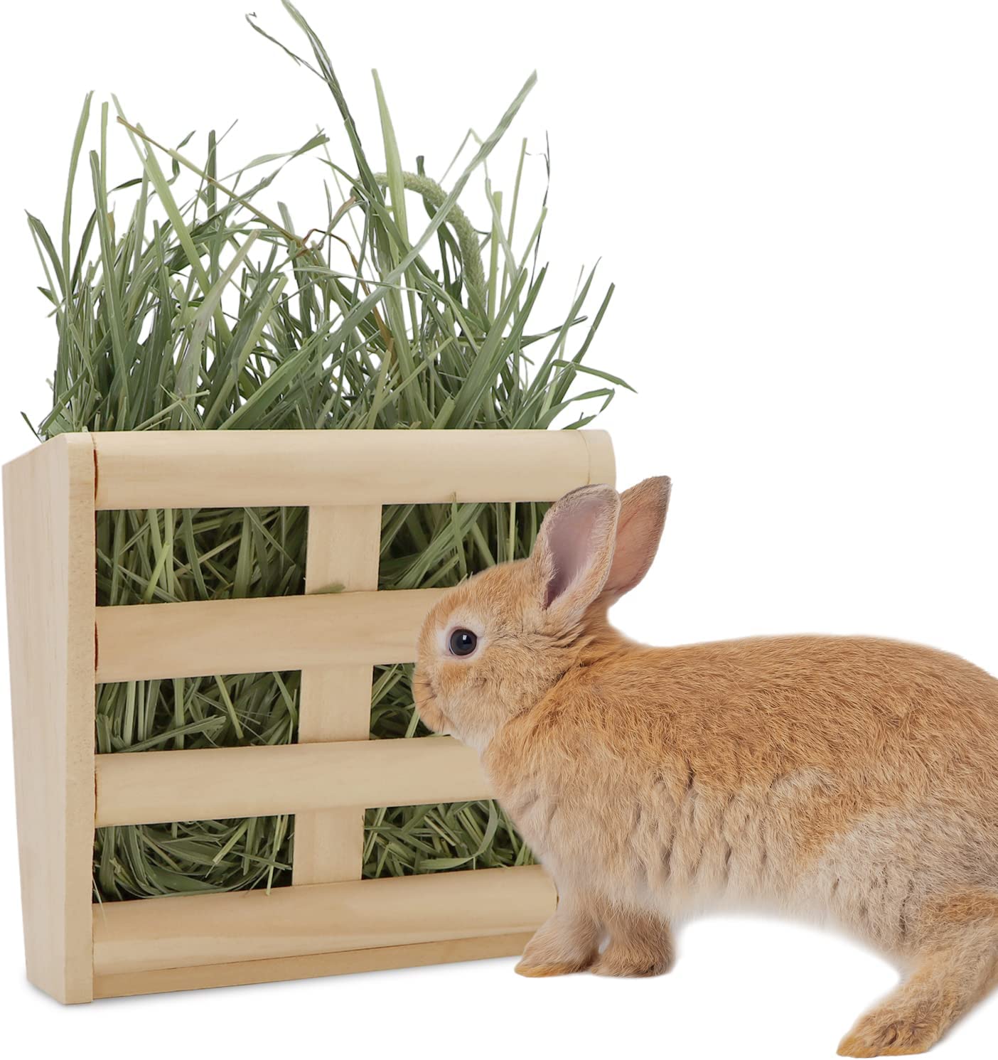Kaytee%20All%20Natural%20Timothy%20Hay%20for%20Rabbits%20&%20Other%20Small%20Animals,%201%20kg%20-%20Rabbit%20food.%20-%20Image%202
