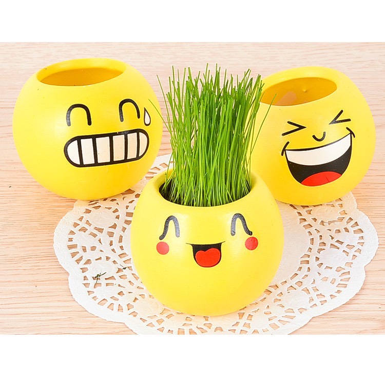 Chậu trồng cây mini để bàn