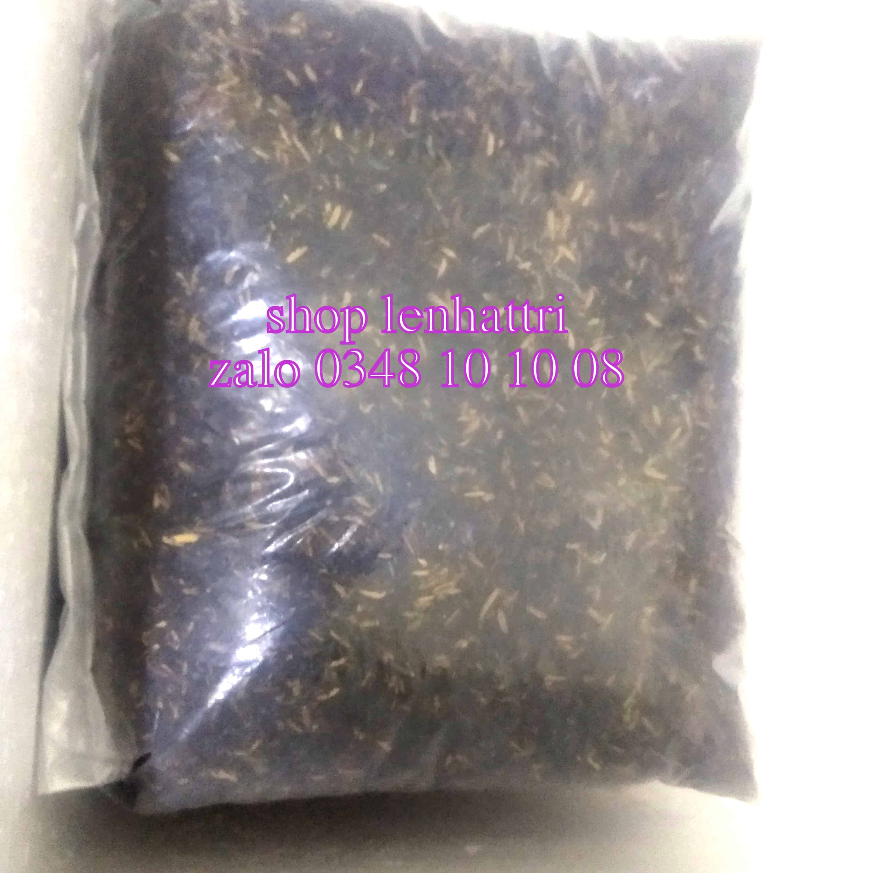 Đất trồng sứ 1kg