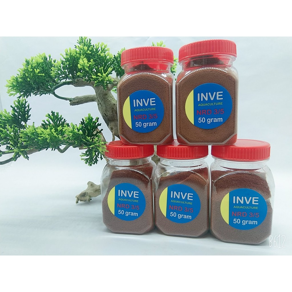 Cám Thái Inve 3/5 50gr thức ăn cho cá