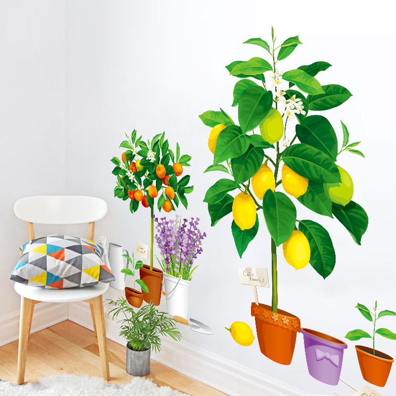 DECAL DÁN TƯỜNG CHẬU CÂY LEMON TREE