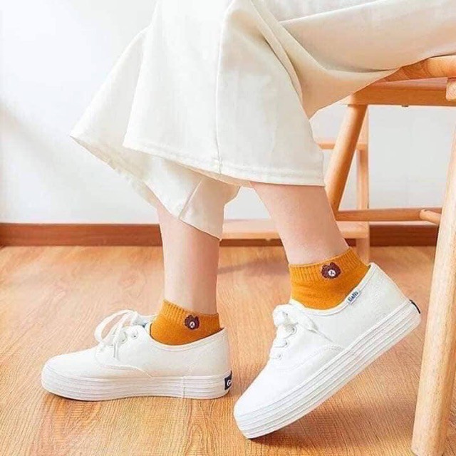 Sét 10 đôi tất gấu túi gấu