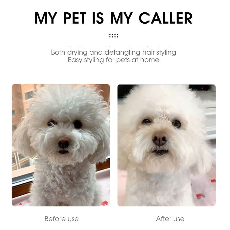 Wenefang%20Fashion%20Pet%20Hair%20Dryer%202%20with%20Slicker%20Brush%20Grooming%20for%20Cat%20and%20Dog%20Brush%20Professional%20Home%20Grooming%20Furry%20Drying%20Portable%20Dog%20Blower%20-%20Image%206