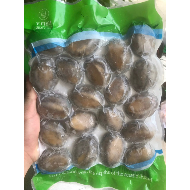 1kg bào ngư y.fish nhập khẩu net 7 size 20 con