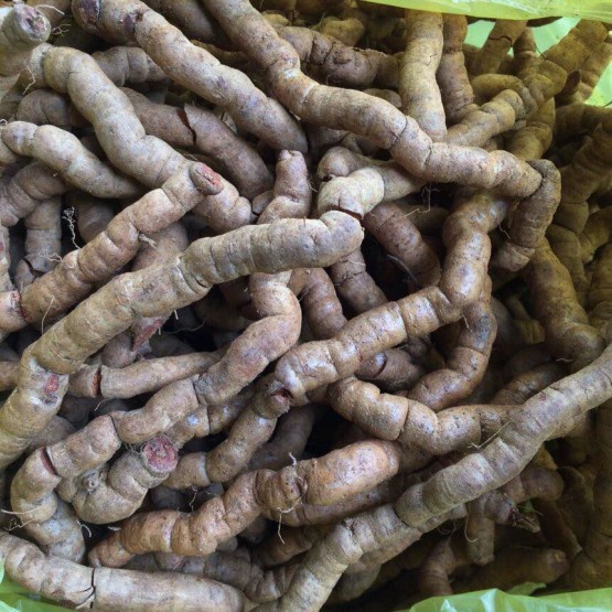 củ ba kích tím khô 500gram