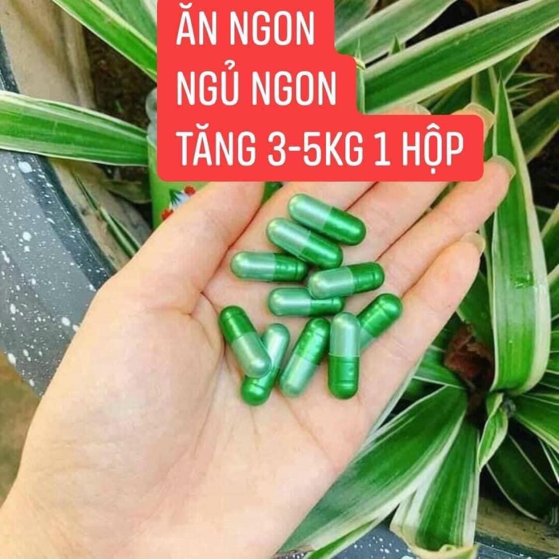 [Chính Hãng}[Siêu Rẻ] Thảo Mộc Tăng Cân Gold Tiến Hạnh