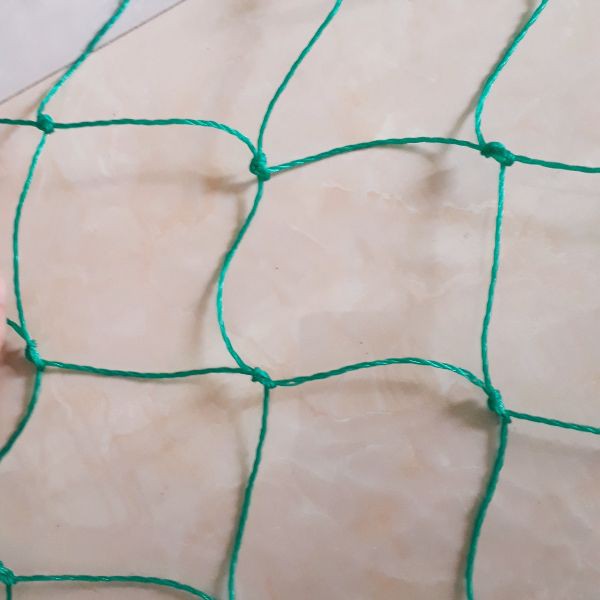 lưới làm giàn cho cây leo kích thước 2m x 4m
