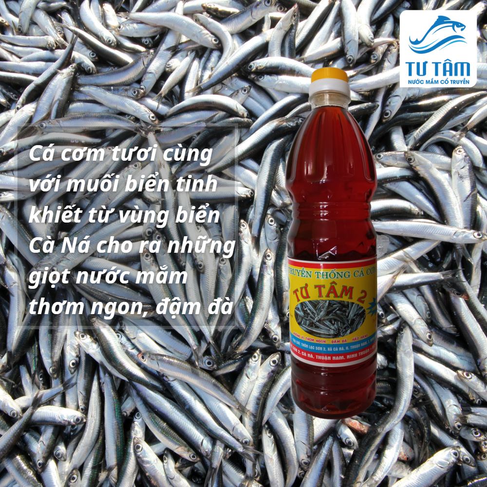 Nước Mắm Cá Cơm Cà Ná Tư Tâm Chai 1 L