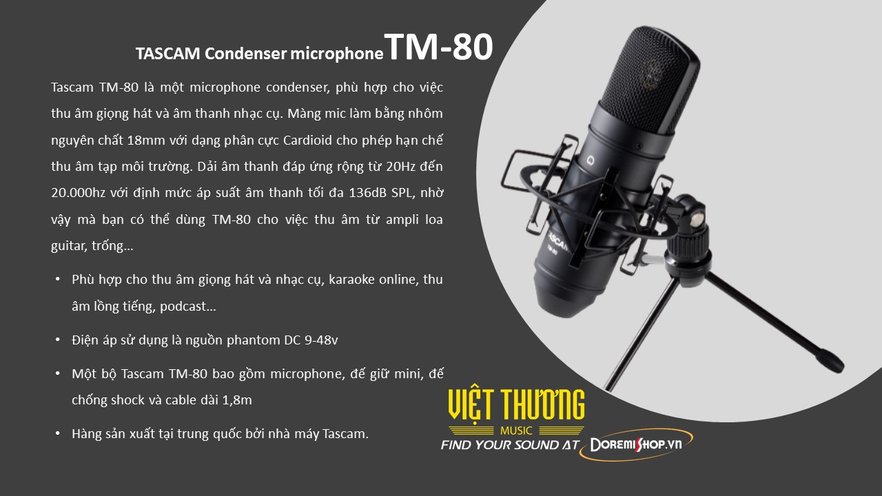 Microphone thu âm condenser chính hãng TASCAM TM-80