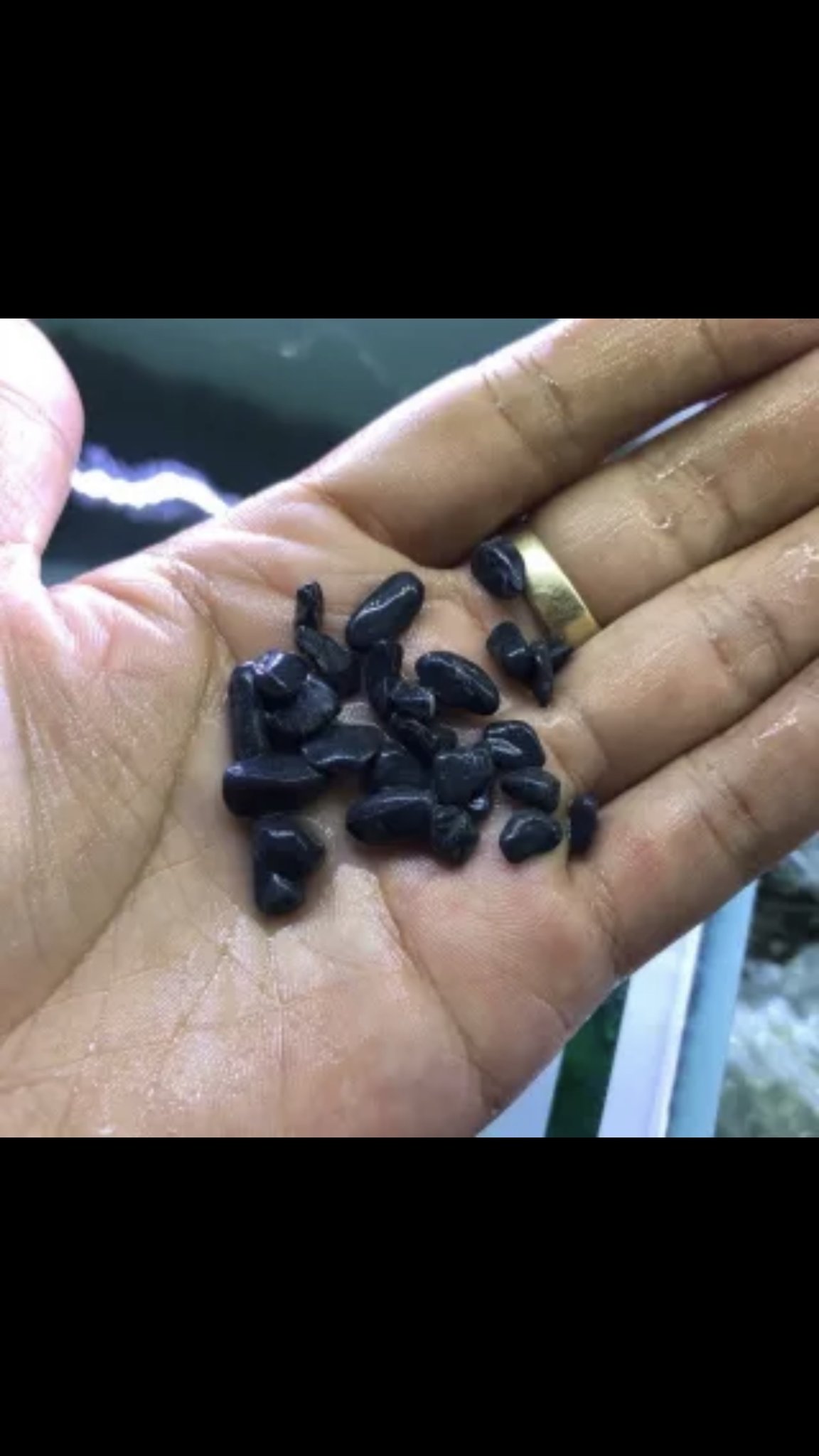 [TRANG TRÍ HỒ CÁ] 1kg sỏi đen trải nền hồ cá cảnh