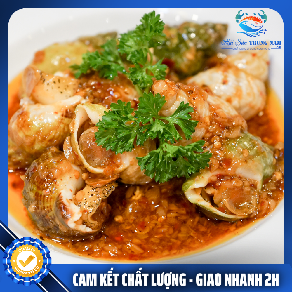 Ốc Bulot Pháp Nhập Khẩu Size 30-40 Con (Túi 1KG)