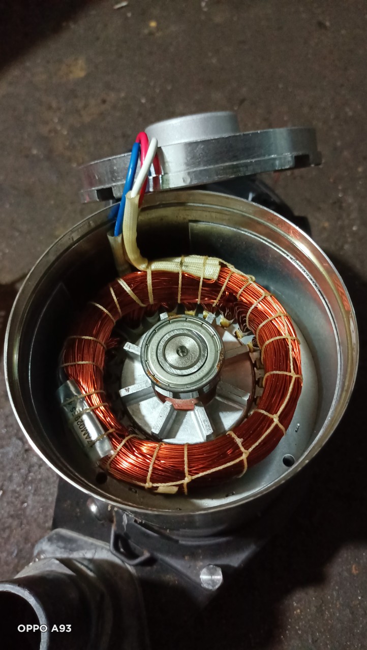 Máy bơm chìm bãi nhật 1000w_220v