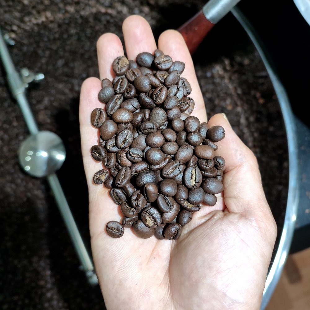 Cà phê Robusta Honey [500g] - 100% Cà phê rang mộc nguyên chất, pha phin, pha máy - TBCAFE