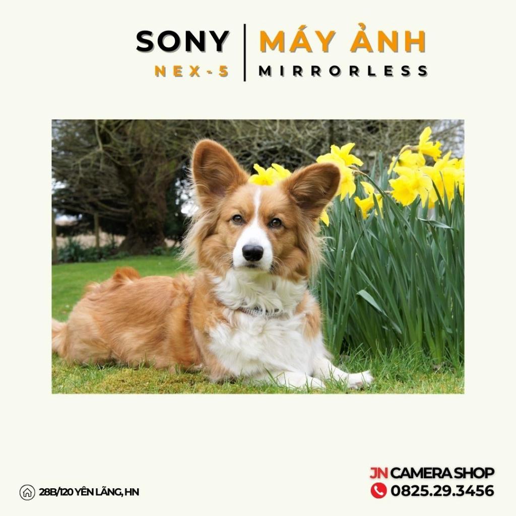 Sony Nex-5 + Ống kính 16-50mm