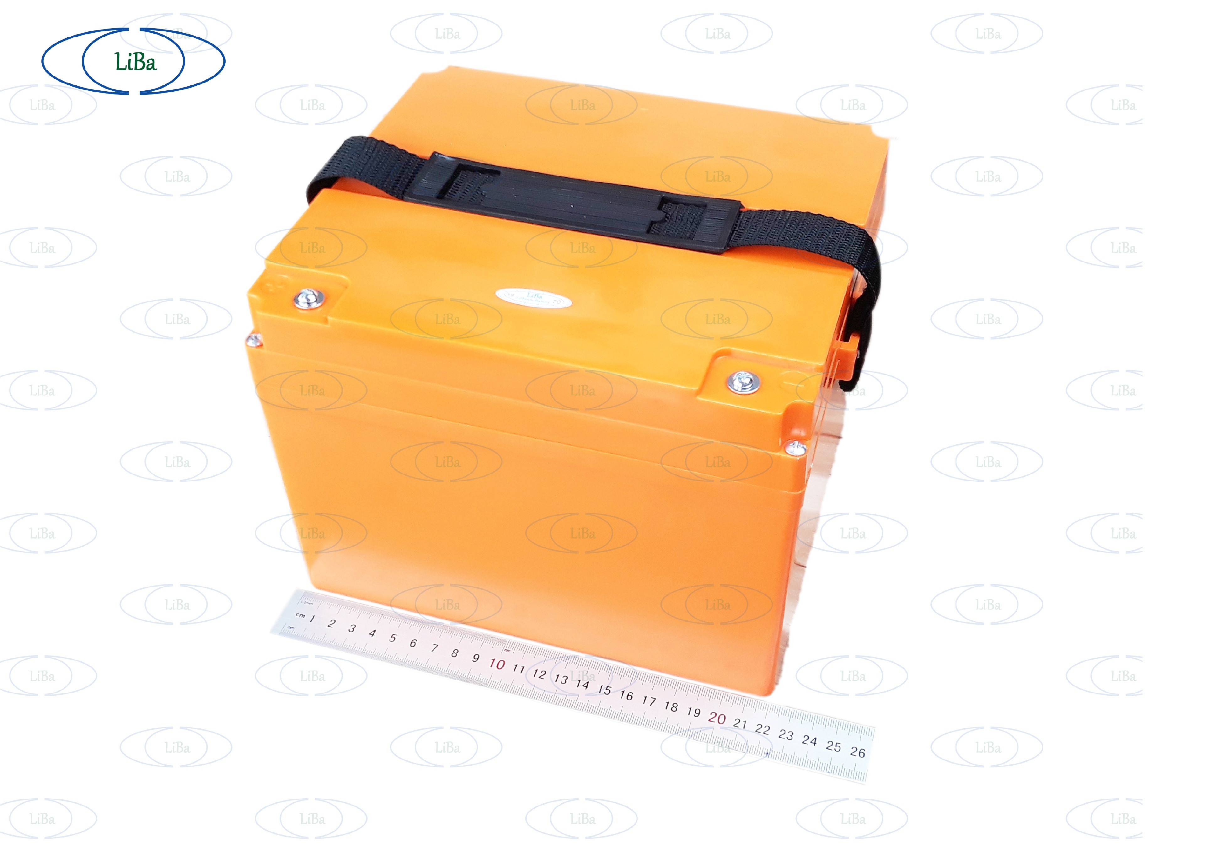 Pin Xe Máy Điện, 63V 21Ah, thay thế 5 bình acquy 12V - Liba
