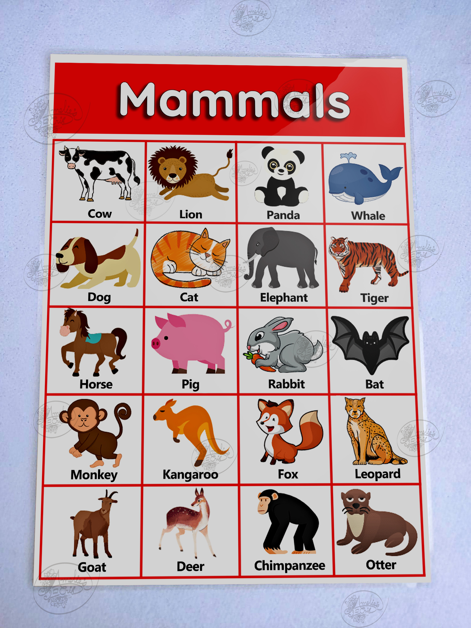 Mammals Laminated Educational Chart (A4) Wall charts for kids | Lazada PH