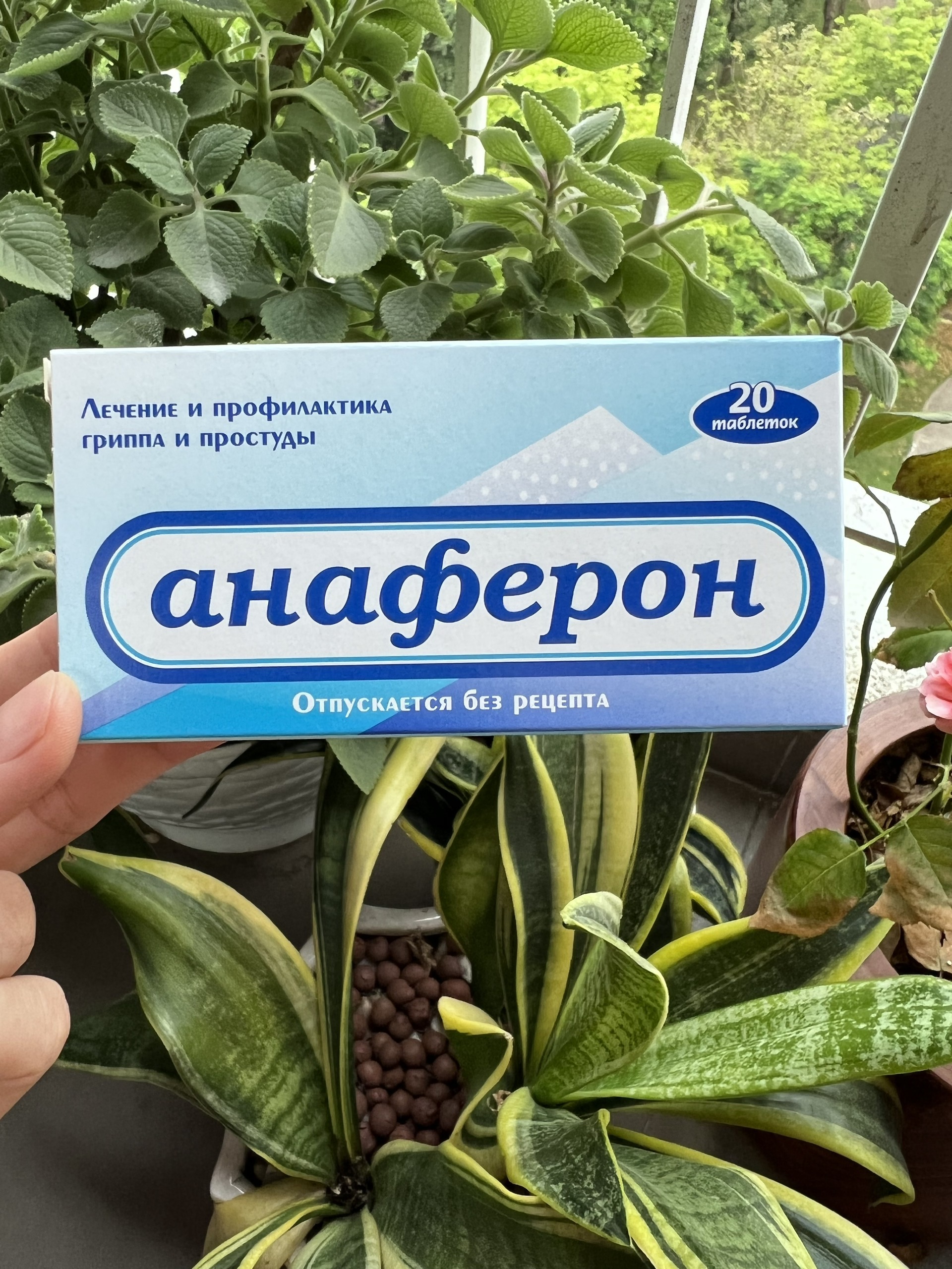 [HCM][Hàng Nội Địa Nga] SIRO TĂNG ĐỀ KHÁNG ANAFERON (25ml) (Nga) (1m+)