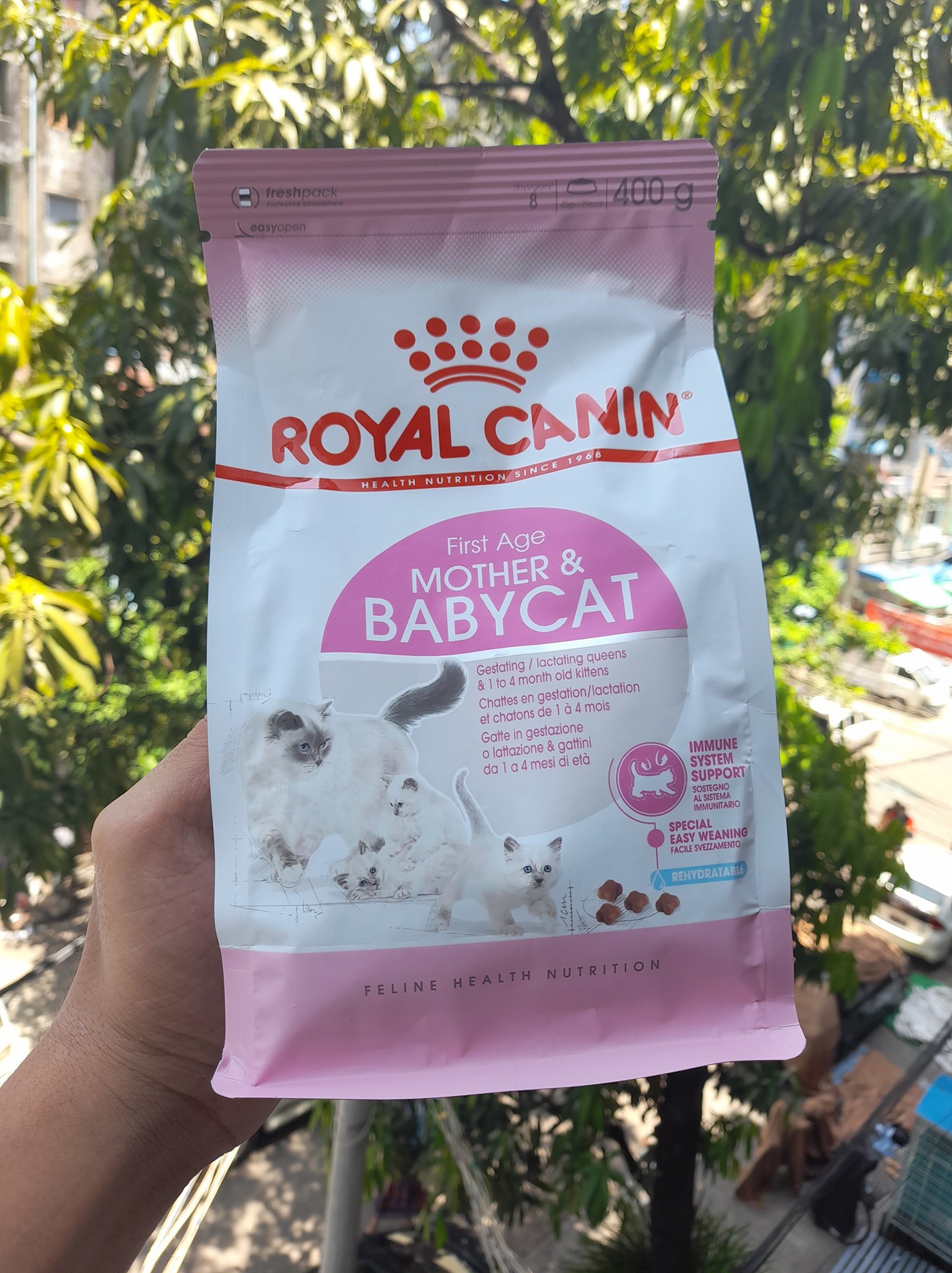 Bình ti uống sữa cho chó mèo con