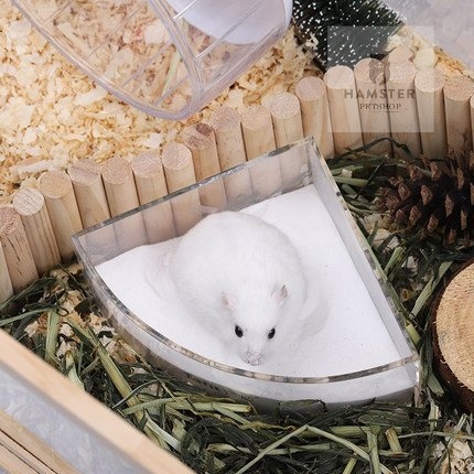 Cát tắm Hamster, thỏ , bọ , sóc