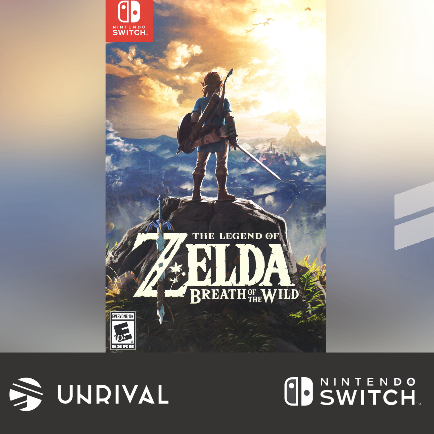 nintendo switch com zelda breath of the wild