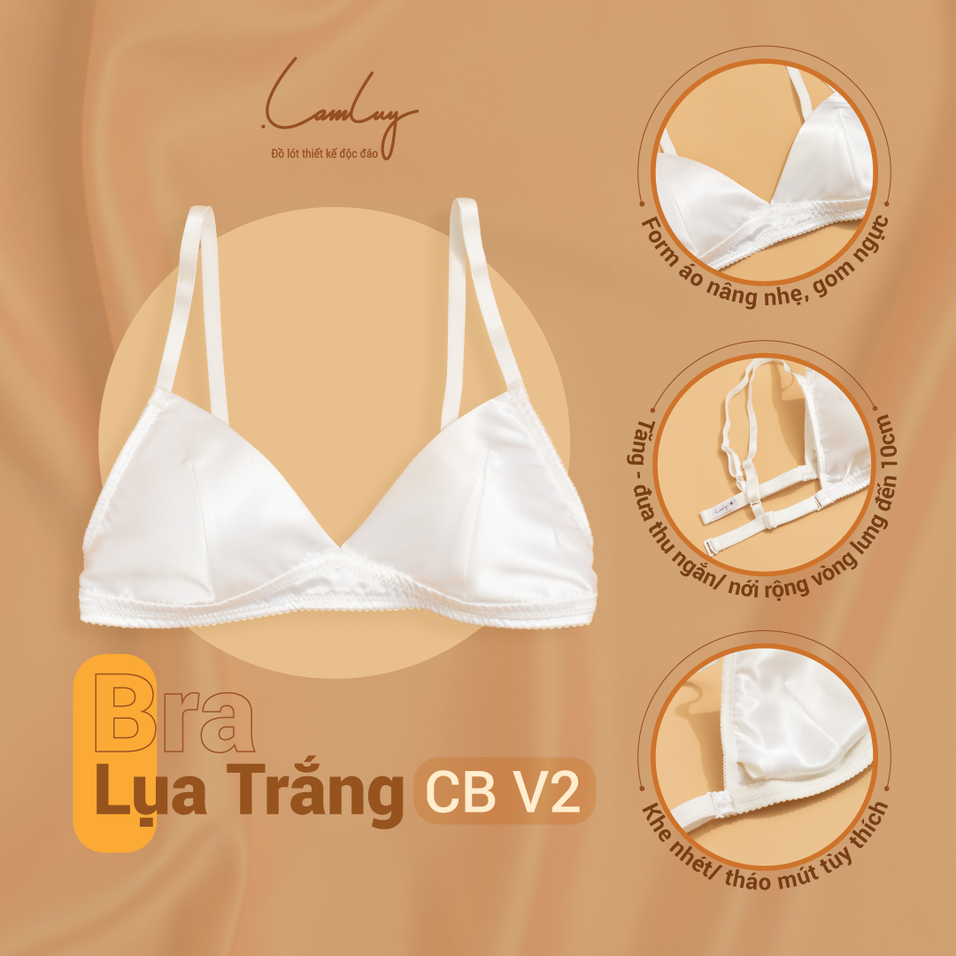 Áo lót mút mỏng bra lụa mềm mịn V2 Lamluy
